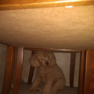 Profile Picture of Forrest Yates (@yates_forrest) on Instagram