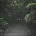 Profile Picture of Adam Pham (@adampham1992) on Pinterest