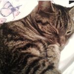 Profile Picture of Tia Proctor 🔷 (@tiaproctorr) on Instagram