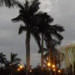 Profile Picture of Amy Patrick-James (@amy72322) on Instagram