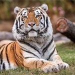 Profile Picture of Cindy McClure (@cindymcclure14) on Instagram