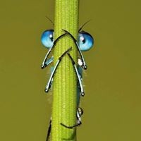 Profile Picture of Winnie Ting (@winnie-ting-4) on Quora