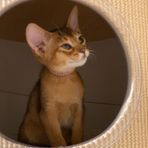 Profile Picture of Viktor Baumann (@viktor.baumann.31) on Facebook