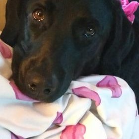 Profile Picture of Karen Huhn (@KarenRay4760) on Twitter