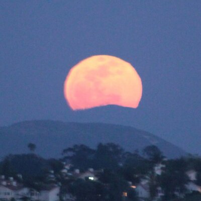 Peter Kraatz - Twitter Profile Picture of Peter Kraatz (@TheKinzuaKid) on Twitter