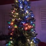 Profile Picture of Thomas Brueckner (@ucfvision) on Instagram