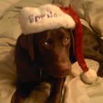 Kristine Axtlunz - Facebook Profile Picture of Kristine Axtlunz (@kristine.axtlunz) on Facebook