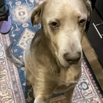 Profile Picture of Doug Clapp (@Doug-Clapp) on Facebook