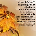 Profile Picture of scot jackson (@scotjackss) on Instagram