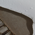 Profile Picture of wild ocean rose (@wild ocean rose) on Flickr