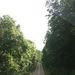 Profile Picture of Stacy Forrest (@stacyforrest) on Pinterest