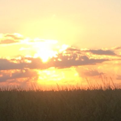 Profile Picture of Ben Stoller (@clay_CCA) on Twitter