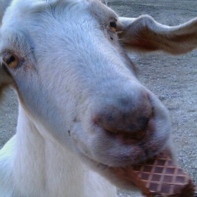 Profile Picture of Bryan Cushing (@gracy123456) on Twitter