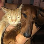 Profile Picture of Harold And Felix (@harold_and_felix) on Instagram