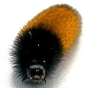 Profile Picture of Thomas Patterson (@ThomasPatterson-rc8zm) on Youtube