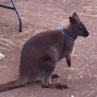 Profile Picture of John Adey (@Adey80Adey) on Twitter