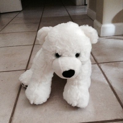 Profile Picture of Sam Braddock (@00_braddock) on Twitter