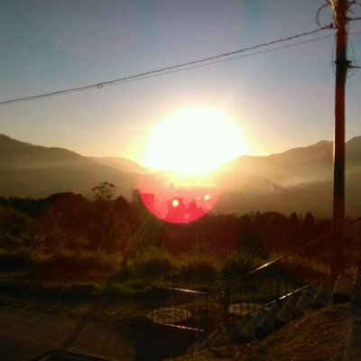 Profile Picture of David Mazo (@davidmazo0514) on Twitter