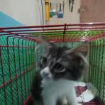 Deelay Soriano - Facebook Profile Picture of Deelay Soriano (@Deelay-Soriano) on Facebook