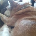 Profile Picture of Debbie Wolcott (@debbie.wolcott) on Instagram