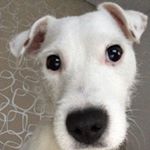 Profile Picture of Ann Sintebin (@ann.sintebin) on Instagram