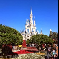 Profile Picture of Joey Parrish (@joey-parrish) on Quora