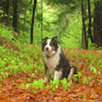 Profile Picture of Ben Litwack (@ben-litwack) on Quora