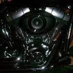 Profile Picture of brandonp (@brandonpedrino) on Instagram