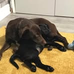 Profile Picture of Michael Hadaway (@michael.hadaway.3) on Facebook