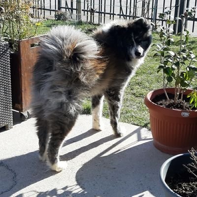 Profile Picture of Pinith (@Pinith8) on Twitter