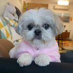 Profile Picture of Hetty Wong(靖媛) (@hetty_wong) on Instagram