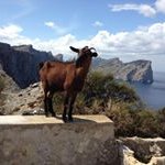 Profile Picture of Karl-Johan Samuelsson (@karljohansamuelsson) on Instagram
