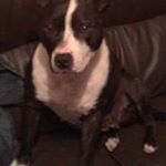 Mario Hughes - Instagram Profile Picture of Mario Hughes (@hughes.mario) on Instagram