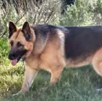 Profile Picture of Toni Kilburger (@toni.kilburger) on Facebook