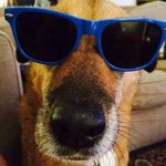 Profile Picture of Chris Ghirardi (@chrisghirardi) on Instagram