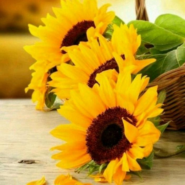 Profile Picture of VARUN NAIR (@@user75907859) on Tiktok