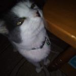 Profile Picture of Sherry Ramsey (@sherry.ramsey.752) on Instagram