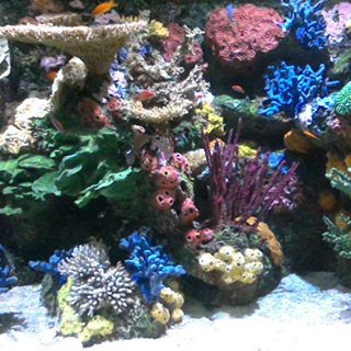 Kimberly Craig Lingle - Facebook Profile Picture of Kimberly Craig Lingle (@Kimberly-Craig-Lingle) on Facebook