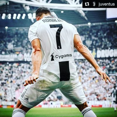 Profile Picture of Mohammad Navid Bajauri (@BajauriNavid) on Twitter