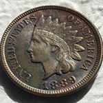 Profile Picture of Scott Strohm (@pigdog4u) on Instagram