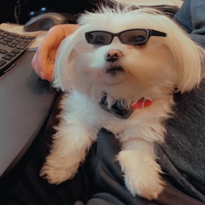 Profile Picture of Nate Kimball (@KimballNate) on Twitter