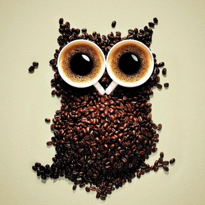 Profile Picture of Lucas Domansky LDMS (@Luc45_IT) on Twitter