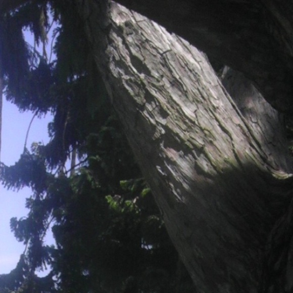 Profile Picture of Adrian Echeverria (@selfmadeadrian) on Poshmark