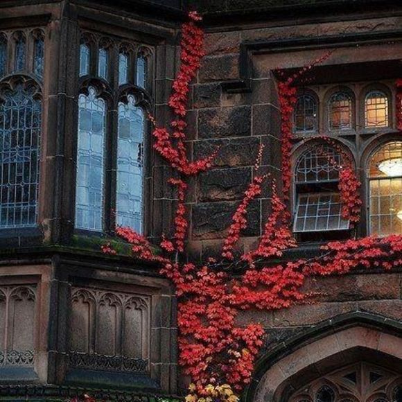 Profile Picture of Patrick Shea (@patricksheaesq) on Poshmark