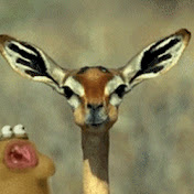 Profile Picture of Reyes Castillo (@TheReyez6) on Youtube