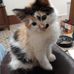 Profile Picture of Kenneth Kirkpatrick (@kenneth.kirkpatrick.31) on Facebook