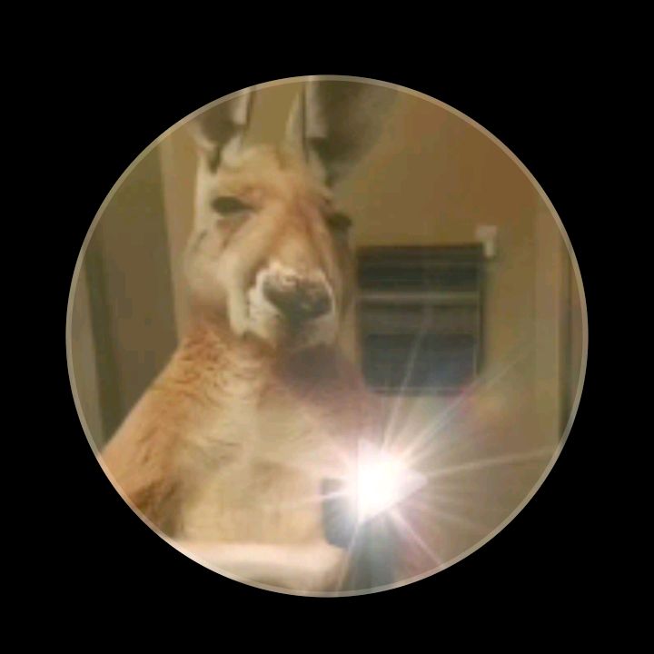 Profile Picture of Aaron Rondon (@aaron.rondon47) on Tiktok