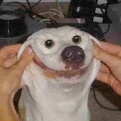 Profile Picture of Marcus Murray (@marcusmurray9146) on Youtube