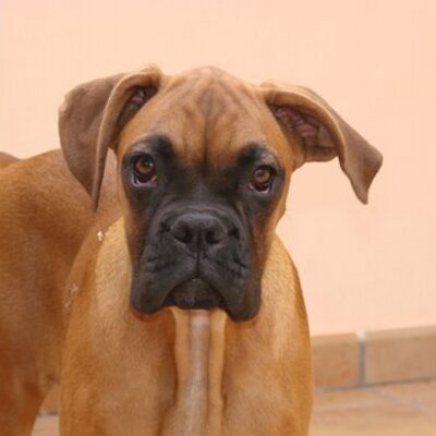 Profile Picture of ALEN (@FernandoAlen) on Twitter