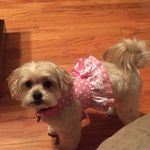 Profile Picture of Terri Rector (@tgrector) on Instagram